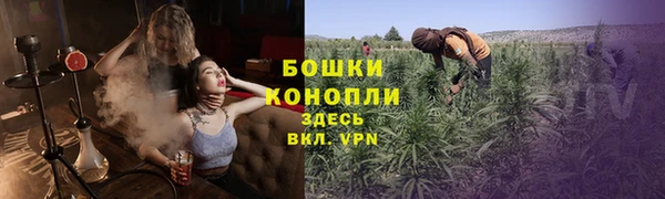 не бодяженный Магас