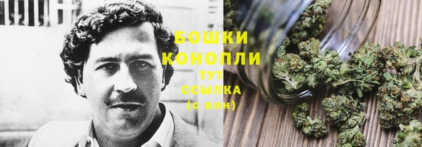 гидропоника Богородицк